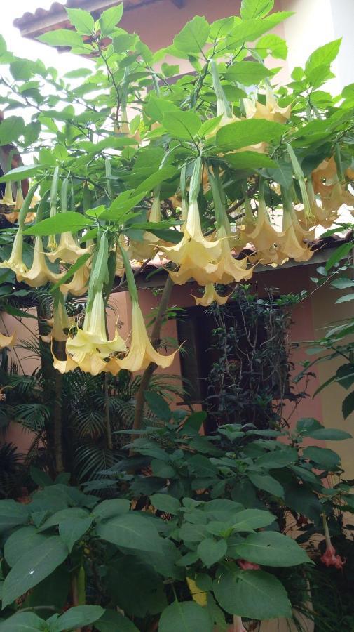 Eco Pousada Jardim Do Eden Alto Paraíso de Goiás Esterno foto