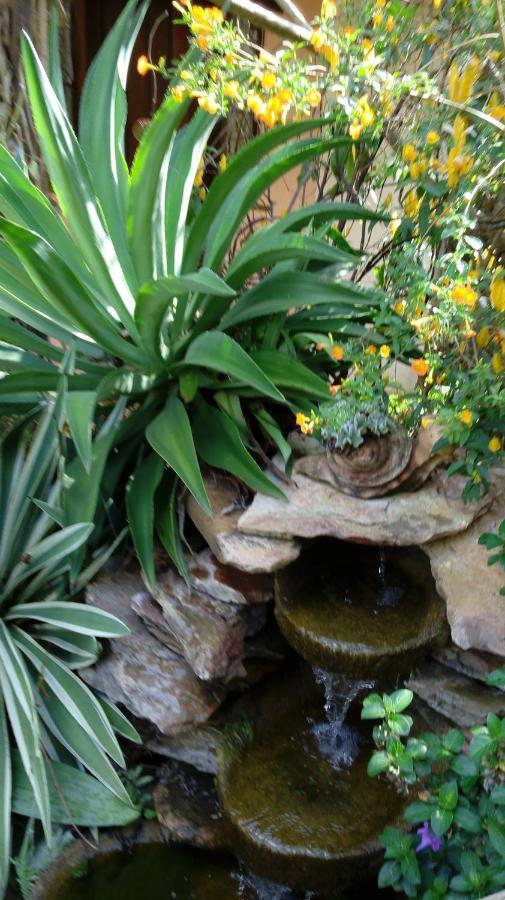 Eco Pousada Jardim Do Eden Alto Paraíso de Goiás Esterno foto