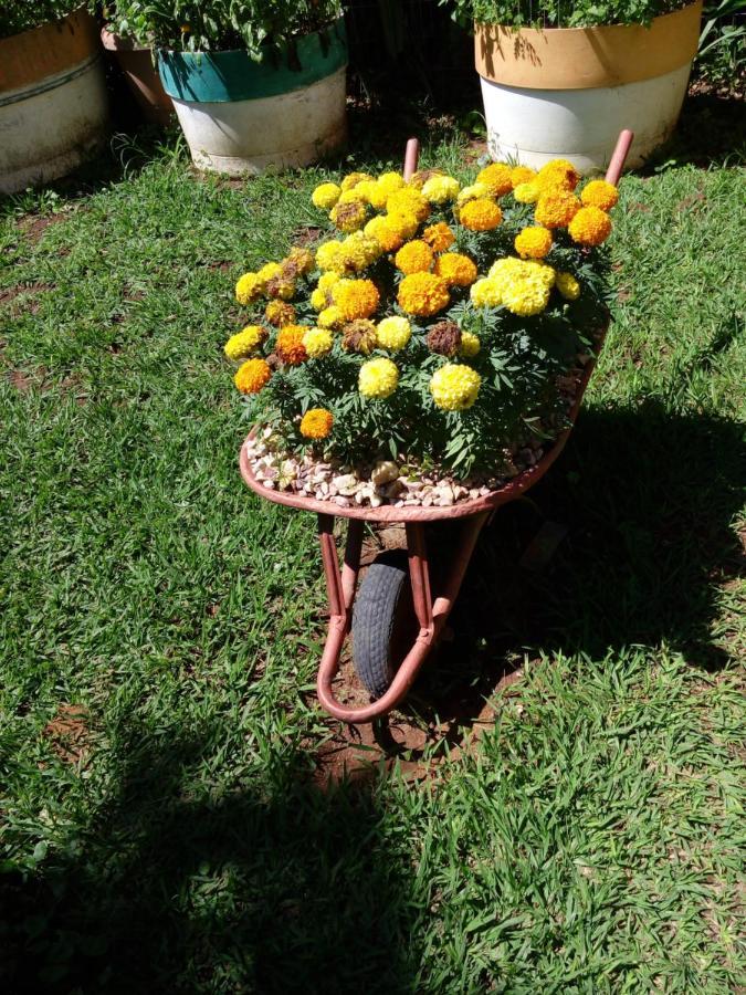 Eco Pousada Jardim Do Eden Alto Paraíso de Goiás Esterno foto