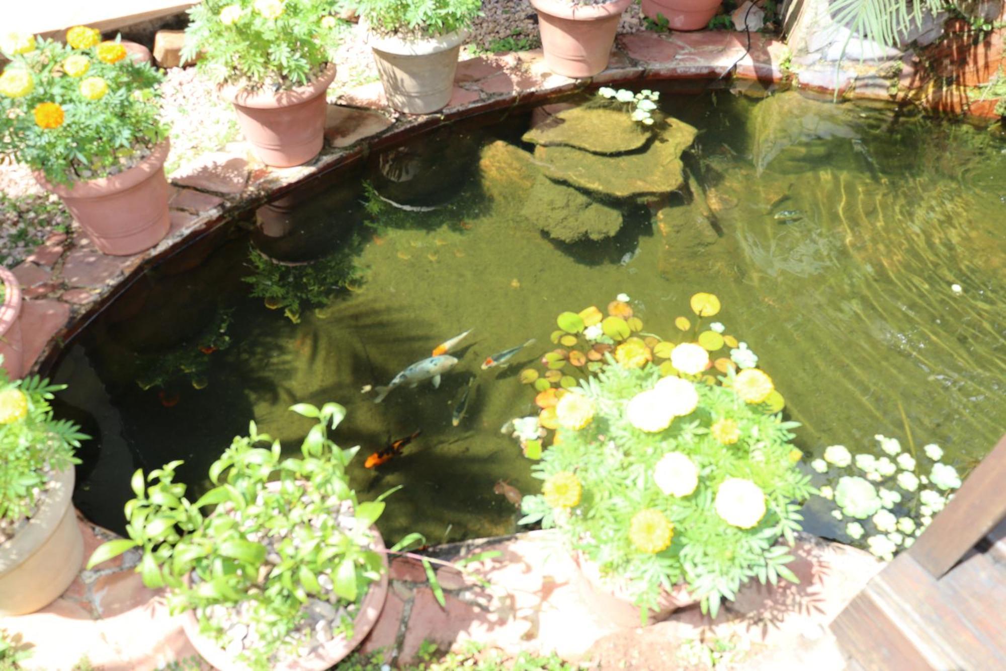 Eco Pousada Jardim Do Eden Alto Paraíso de Goiás Esterno foto